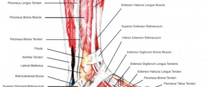 KB Testimonial: Ankle Osteoarthritis